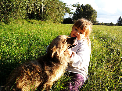 child holding dog on grass field thumbnail