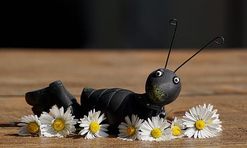 black insect scrap metal decor on table thumbnail