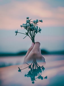 person holding flower thumbnail