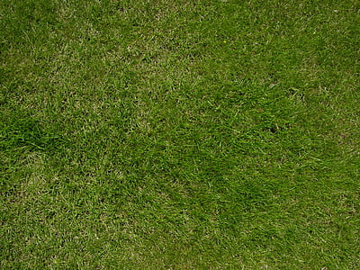 top view photo of green sod thumbnail