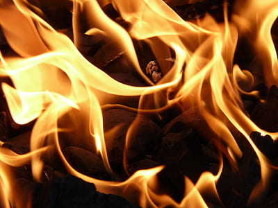 close up view of yellow fire thumbnail