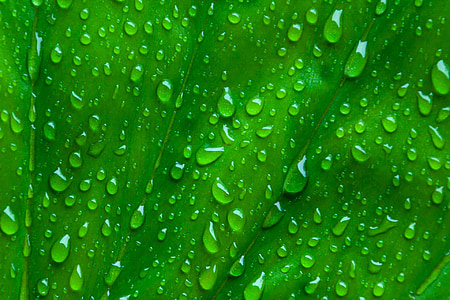 micro photography of water drops thumbnail