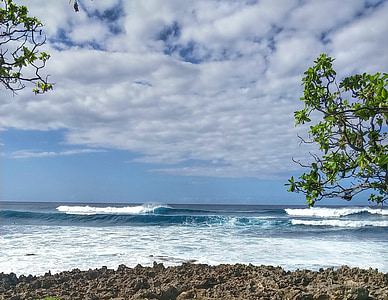 green trees near ocean thumbnail