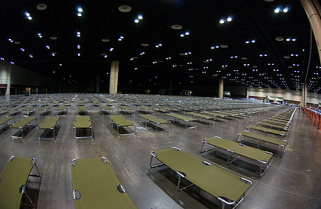 green folding bed lot thumbnail