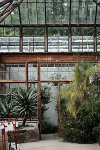 indoor garden interior thumbnail