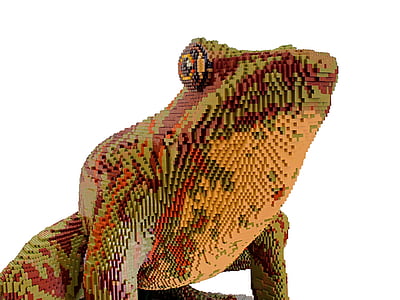 green, maroon, and brown frog illustration thumbnail