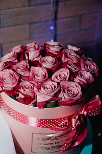 Photo of Bouquet Pink Roses thumbnail