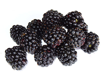 several blackberries thumbnail