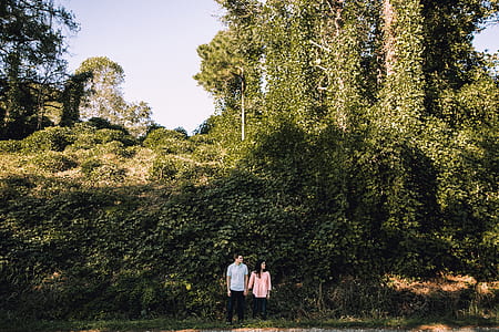 tree, woodland, forest, man thumbnail