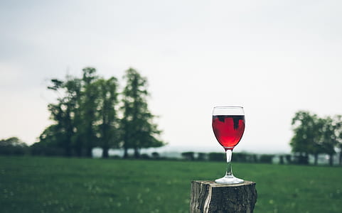 clear wine glass with red liquid thumbnail