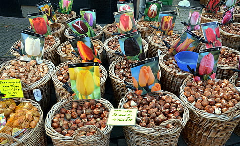 bunch of assorted vegetables thumbnail