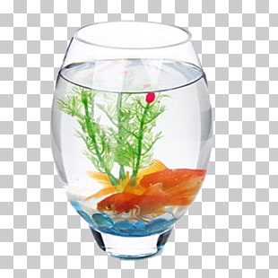 41 Glass Fish Tank Png Cliparts For Free Download Uihere