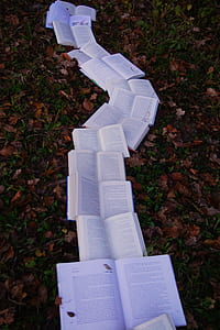 open book lines on ground thumbnail