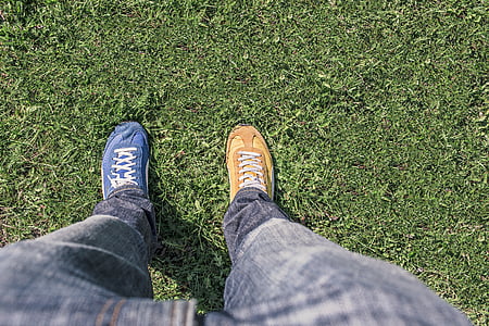 blue and brown shoe on grass field thumbnail