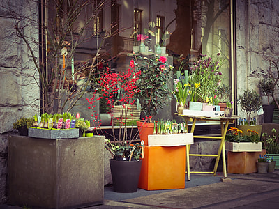 various plants displayed beside glass window outdoors thumbnail