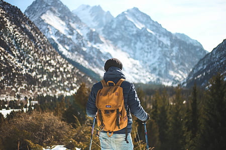 back view of man holding ski pole with snow-capped mountain at distance thumbnail