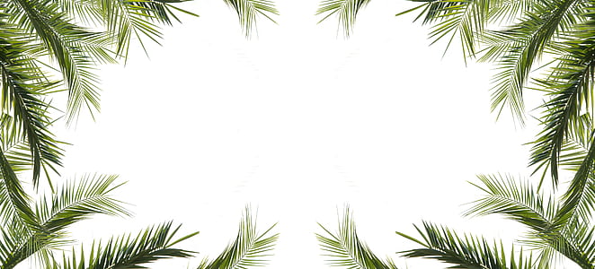 rectangular green leaf frame thumbnail
