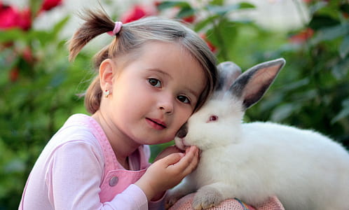 girl in pink top near white rabbit thumbnail