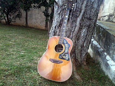 brown guitar on grey tree trunk thumbnail