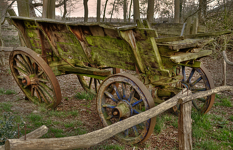 vintage green carriage in forest thumbnail
