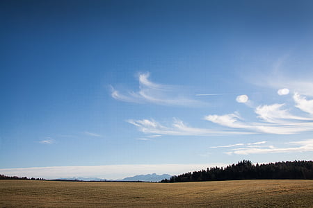 brown field under clear blue sky thumbnail