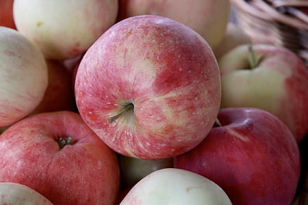 Apple harvest thumbnail