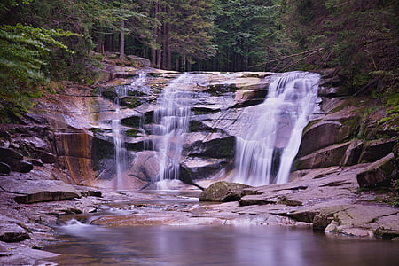 time-lapse photography of flowing water on forest thumbnail