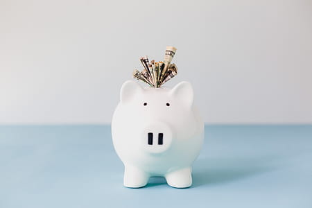 Stuffed Piggy Bank Savings Photo thumbnail