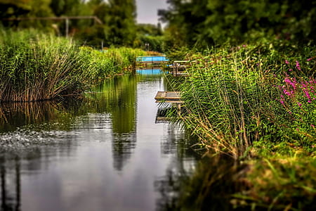 landscape photography of body of water between garden of floewrs thumbnail