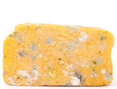 yellow cheese thumbnail