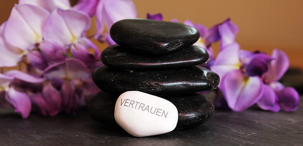 purple orchids and black cairn thumbnail