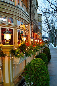 buildings beside tree at daytie thumbnail