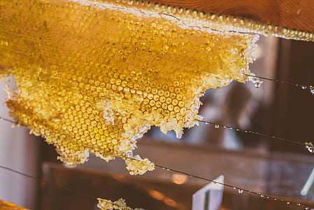 closeup photography of honeycomb thumbnail