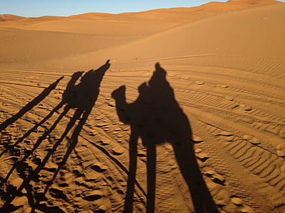 shadow of person riding camel thumbnail