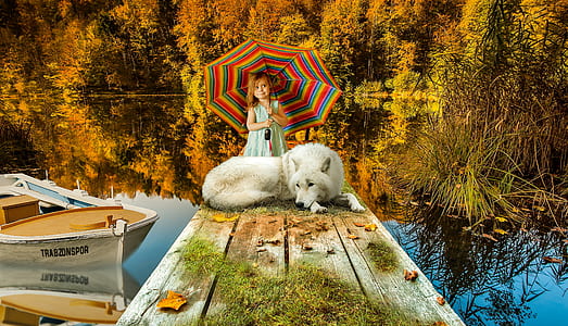 white dog and girl on brown wooden dock during daytime thumbnail