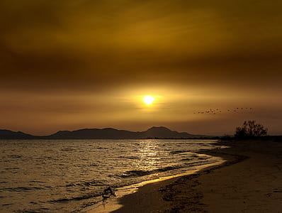 seashore during sunset thumbnail