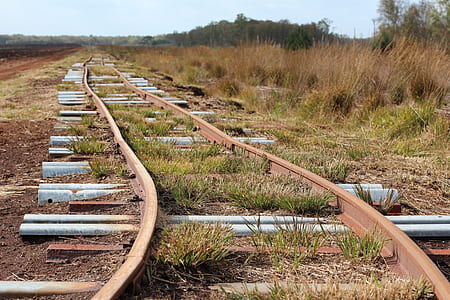 train rails surrounded by grass thumbnail