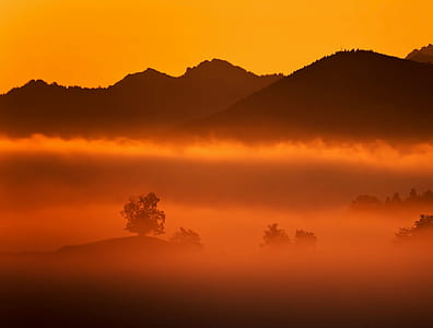 mountain silhouette covered by fogs during golden hour thumbnail