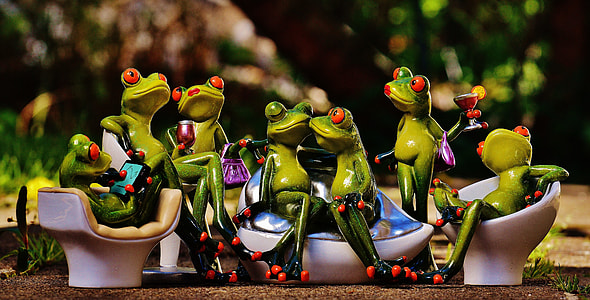 green frogs sitting thumbnail