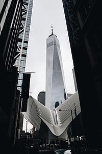 white high-rise building thumbnail