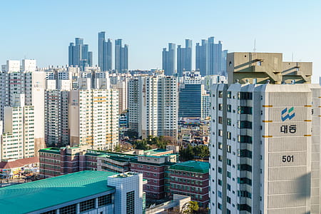 city, skyline, buildings, skyscrapers thumbnail