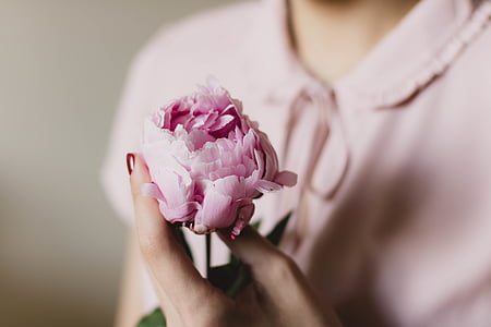 selective focus of woman holding pink flower thumbnail