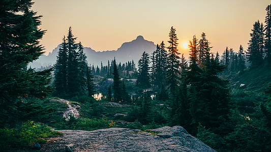 bird's-eye view of trees and mountain during sun rise thumbnail