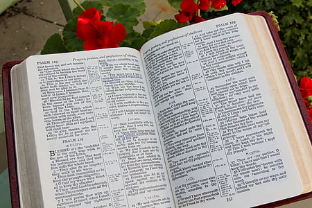 bible psalm pages opened thumbnail