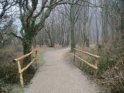 empty brown soil road thumbnail