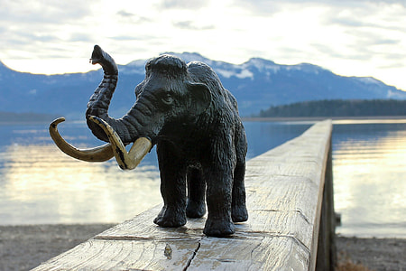 gray elephant toy on brown wooden surface thumbnail