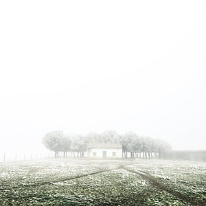 house surrounded by trees and fogs thumbnail