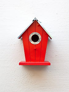 red and gray wooden nestbox thumbnail