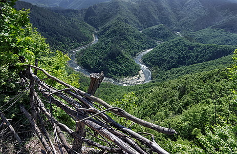 green trees on mountain during daytime thumbnail