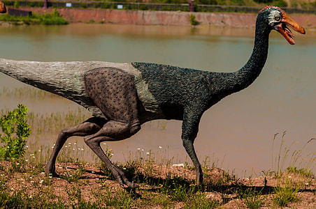 black and brown 4-legged animal with beak thumbnail
